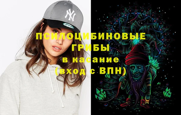 мяу мяу мука Белокуриха
