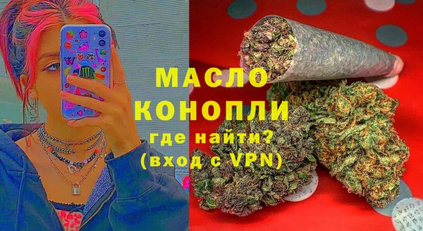 spice Богданович